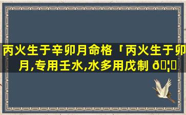 丙火生于辛卯月命格「丙火生于卯月,专用壬水,水多用戊制 🦆 之,身弱 🐎 用印化之」